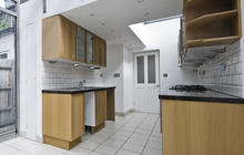 Ashburton kitchen extension leads